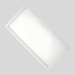 30X60CM LED Panel Light
