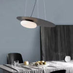 Elegant Pendant Light - Indoor