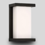 Elegant LED Wall Light